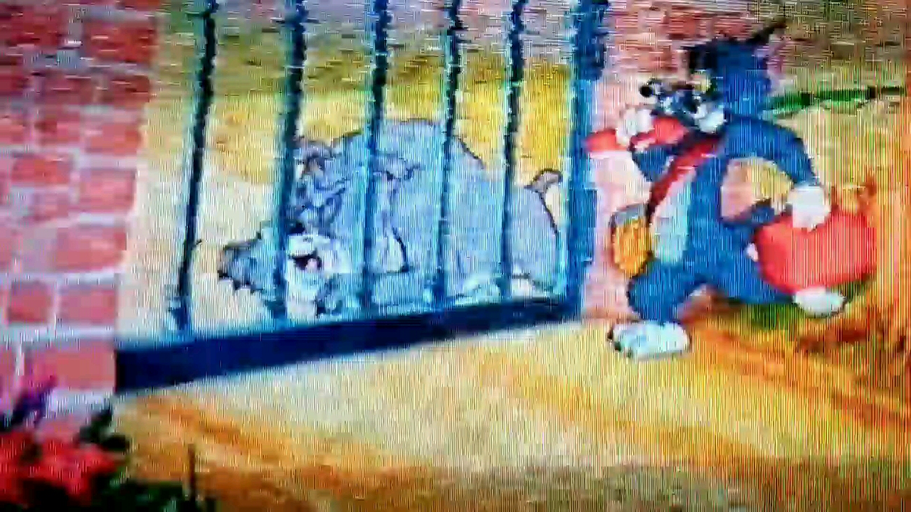 汤姆猫和杰瑞鼠。