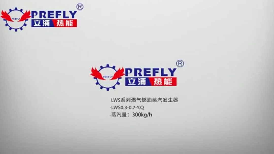300KG燃油燃气蒸汽发生器安装视频~1
