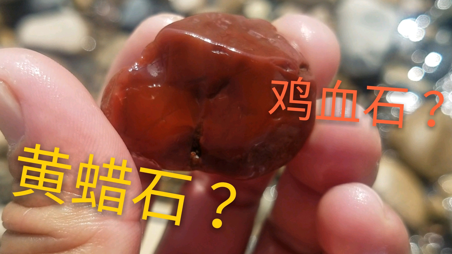 小伙溪边石滩找石头,发现一块类似鸡血石,懂行的帮忙看看