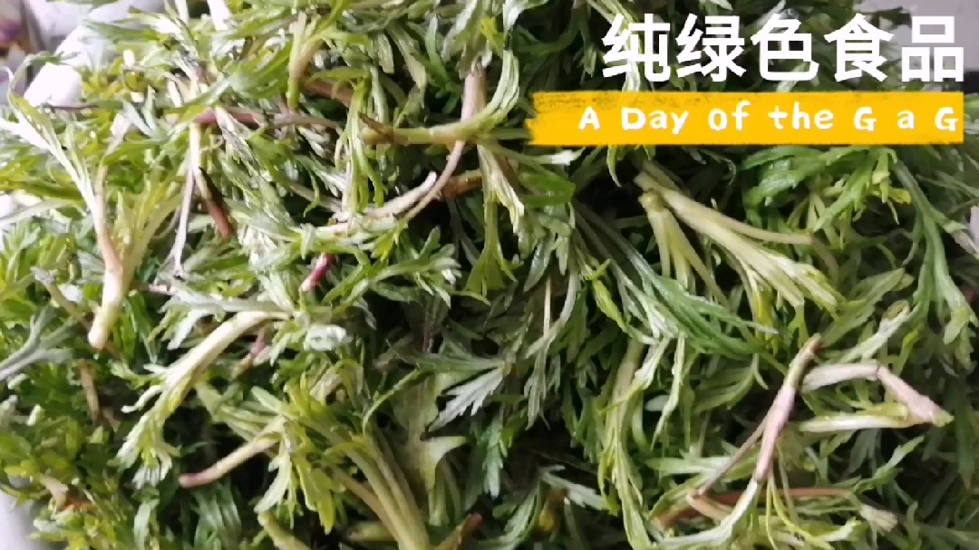 这种野菜不仅好吃而且对身体有好多好处!