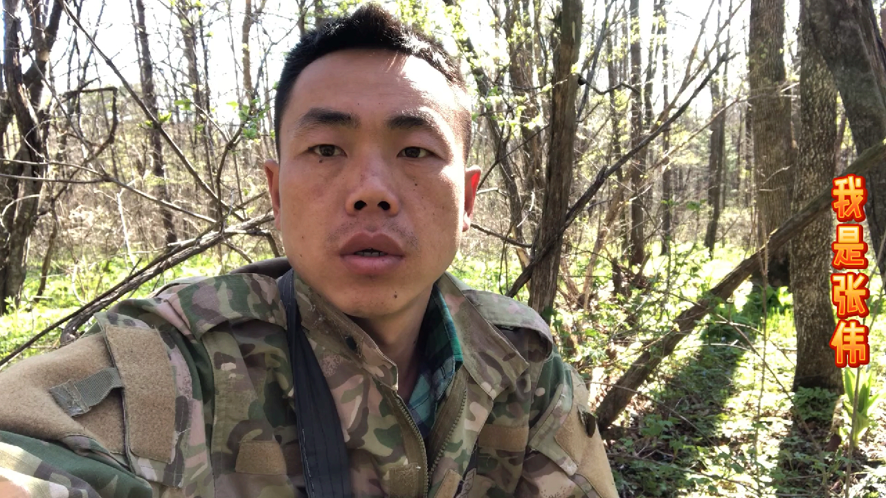 东北林区。春天有各种各样的山野菜。也有危险。你们愿意来吗?