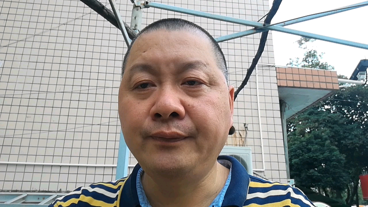 深圳这城市能有一个小地方给你种菜,那怕用花盆种也纸不错哦?