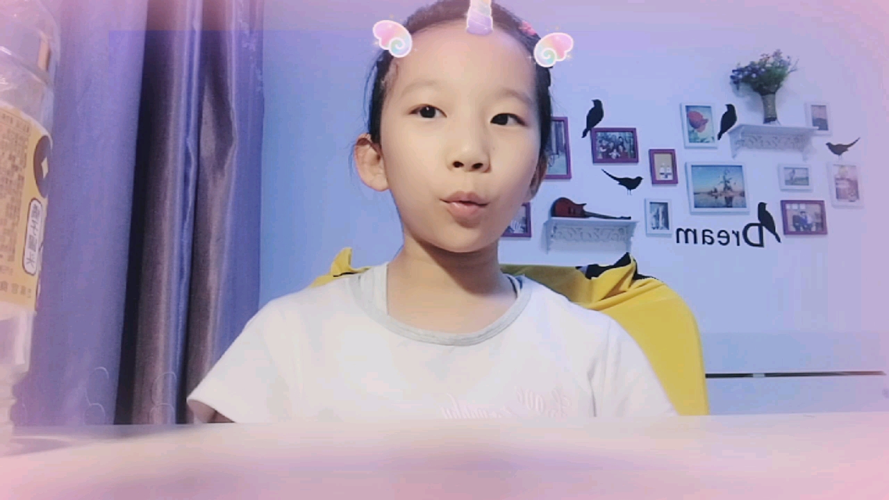 今天龙猫,来喝鹿角巷的奶茶了