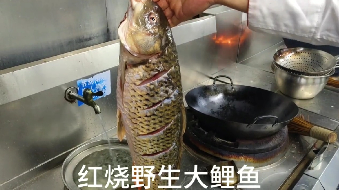 红烧野生黄河大鲤鱼,花重金学来的方法,太美味了