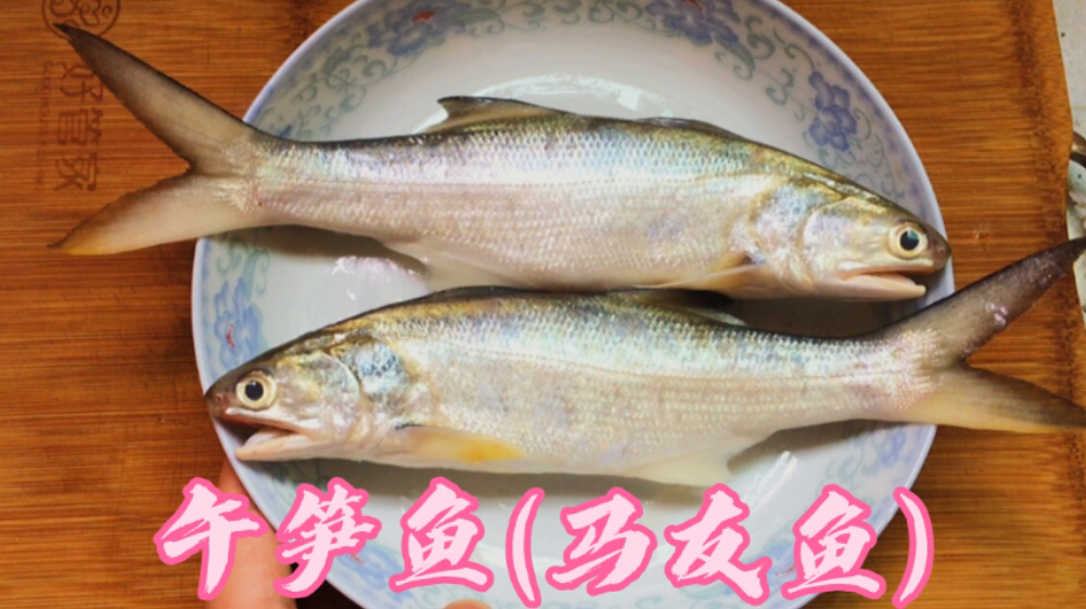 午笋鱼（马友鱼），还是广东潮汕做法好，不煎不焖，鲜嫩无腥味
