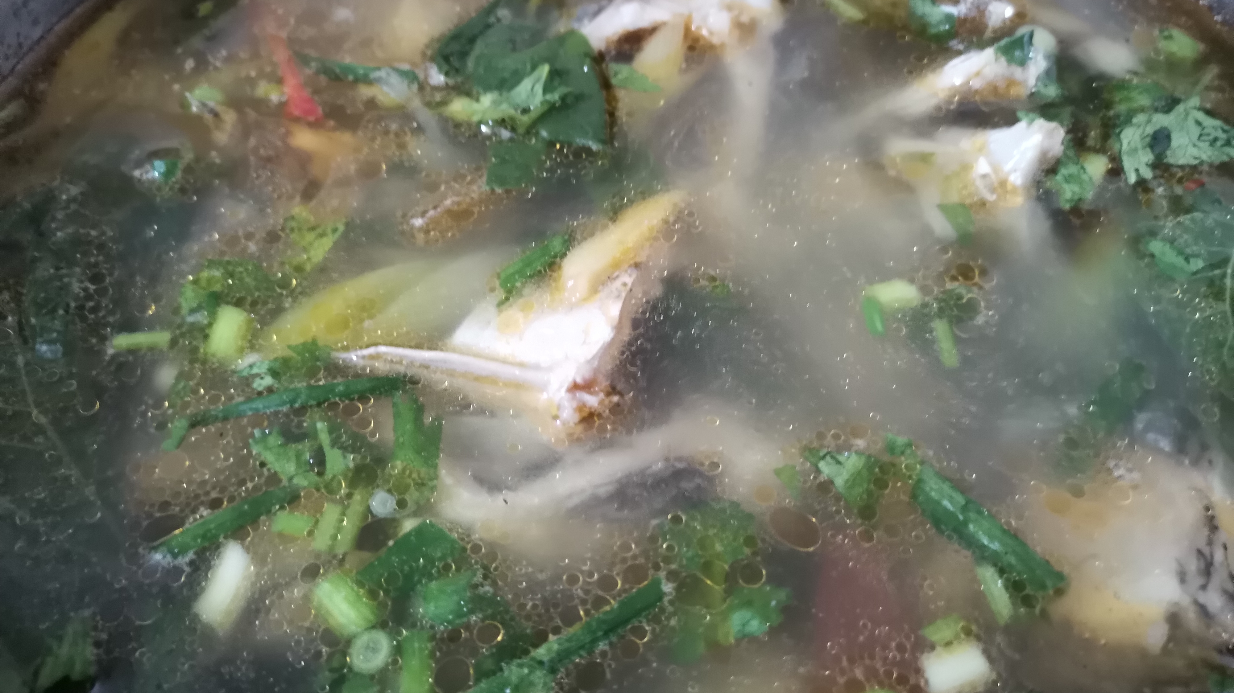 这才是贵州清汤鱼最有营养的做法,汤汁诱人,值得收藏