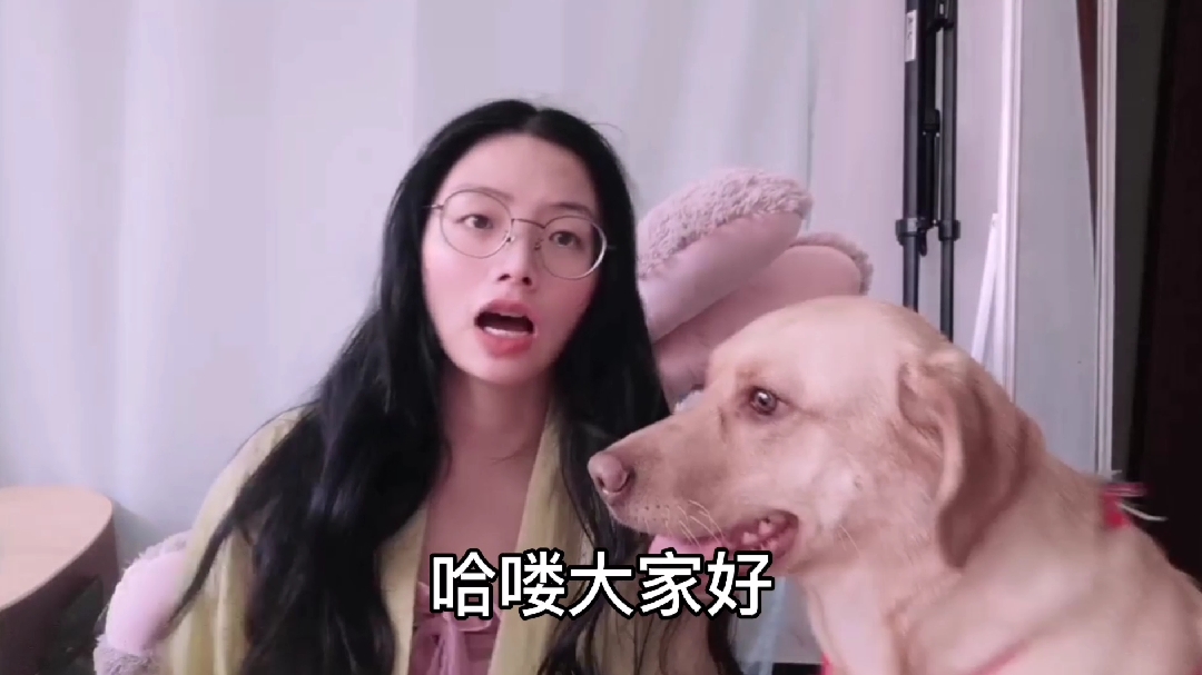 [图]昆明提出禁养大型犬,对此你怎么看?狗狗听了也很难过,一旁趴着