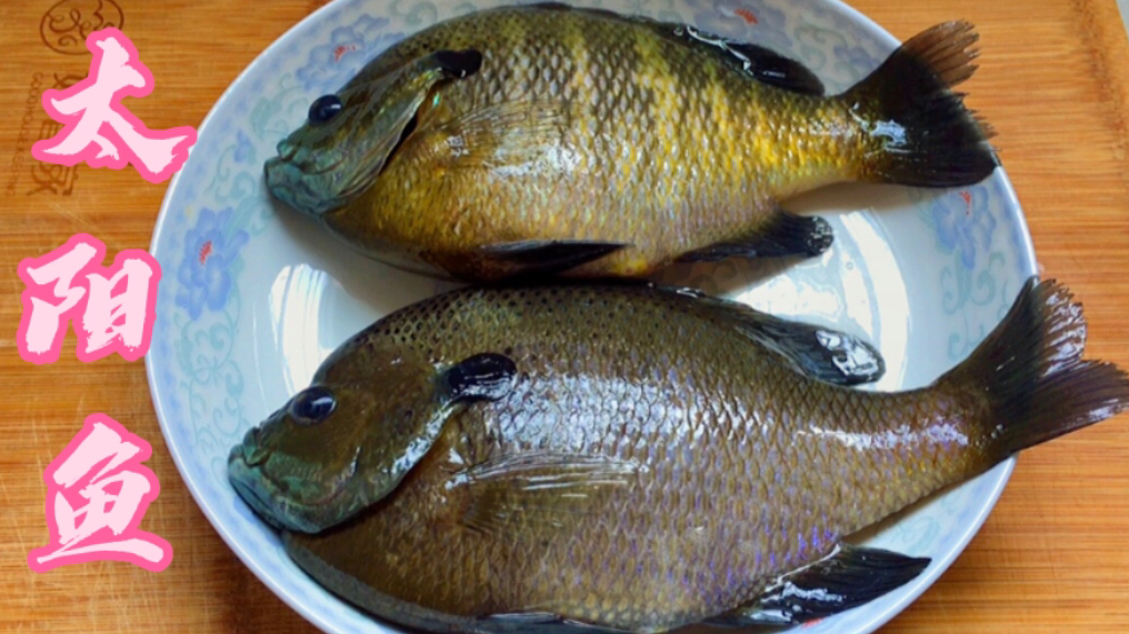 太阳鱼,我喜欢广东潮汕半煎煮做法,鱼肉外香里嫩没有腥味