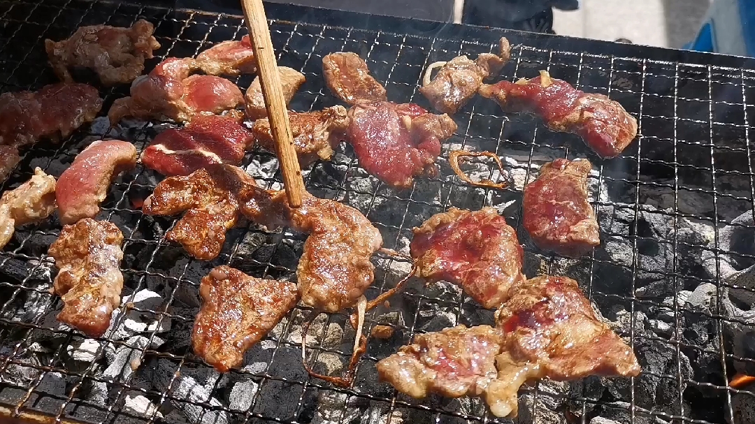 东北小烤肉,牛羊肉简单腌制,烤出来的口感味道比烤肉店还好吃