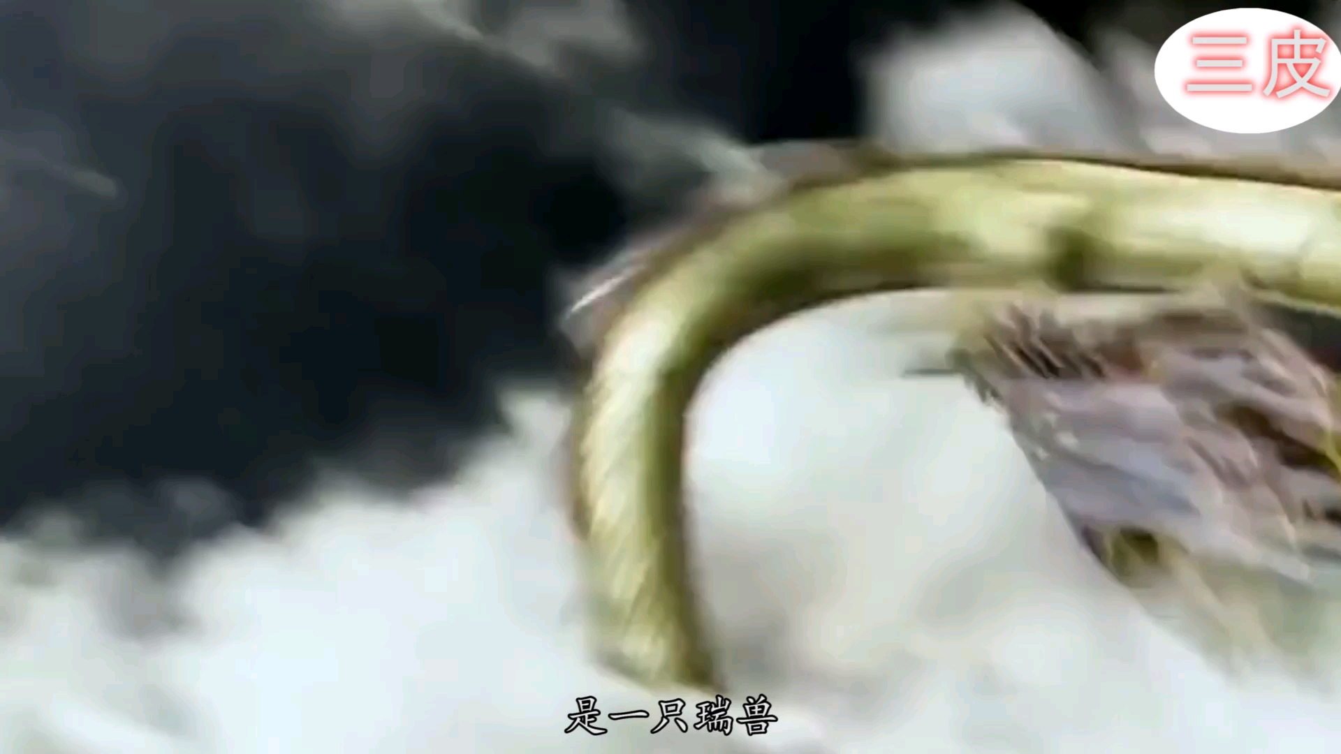 古代五大神兽,瑞兽,龙,凤凰,貔貅,神龟,麒麟