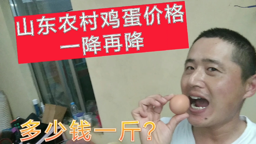 实拍:山东农村鸡蛋“一败涂地