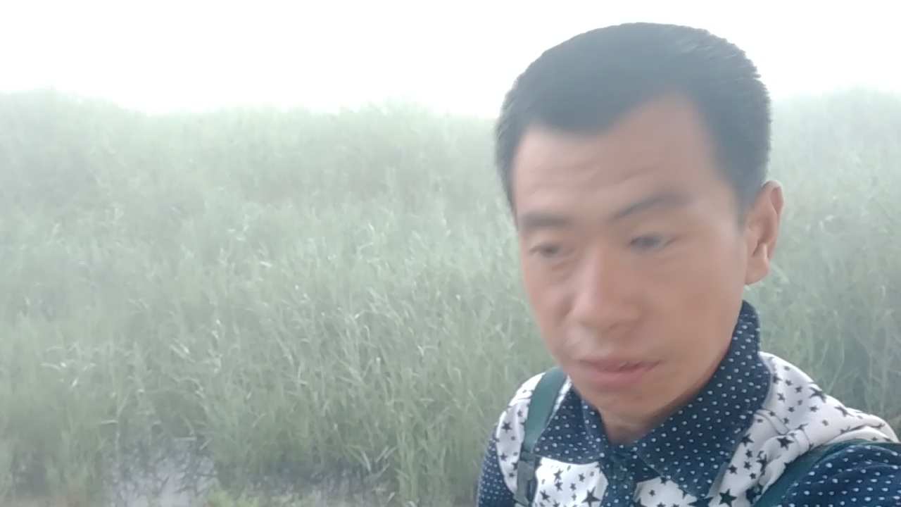 今天有来起地笼了能捉到中国斗鱼吗会有收获吗