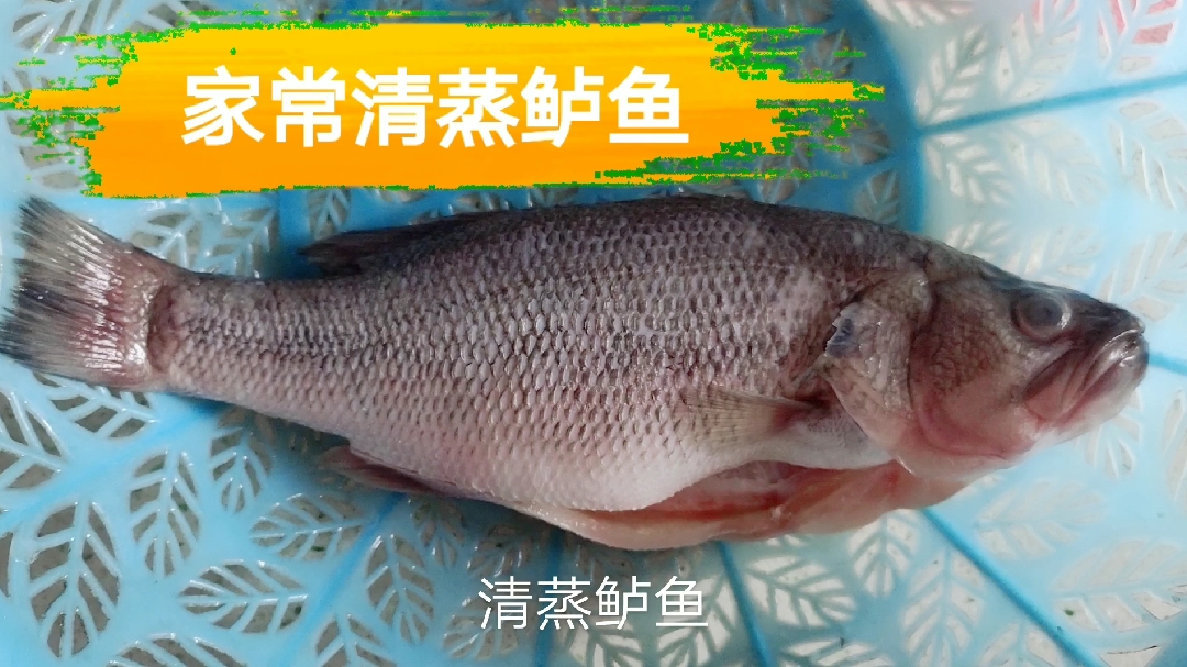 家常清蒸鲈鱼,简单好吃的做法,比红烧好吃!