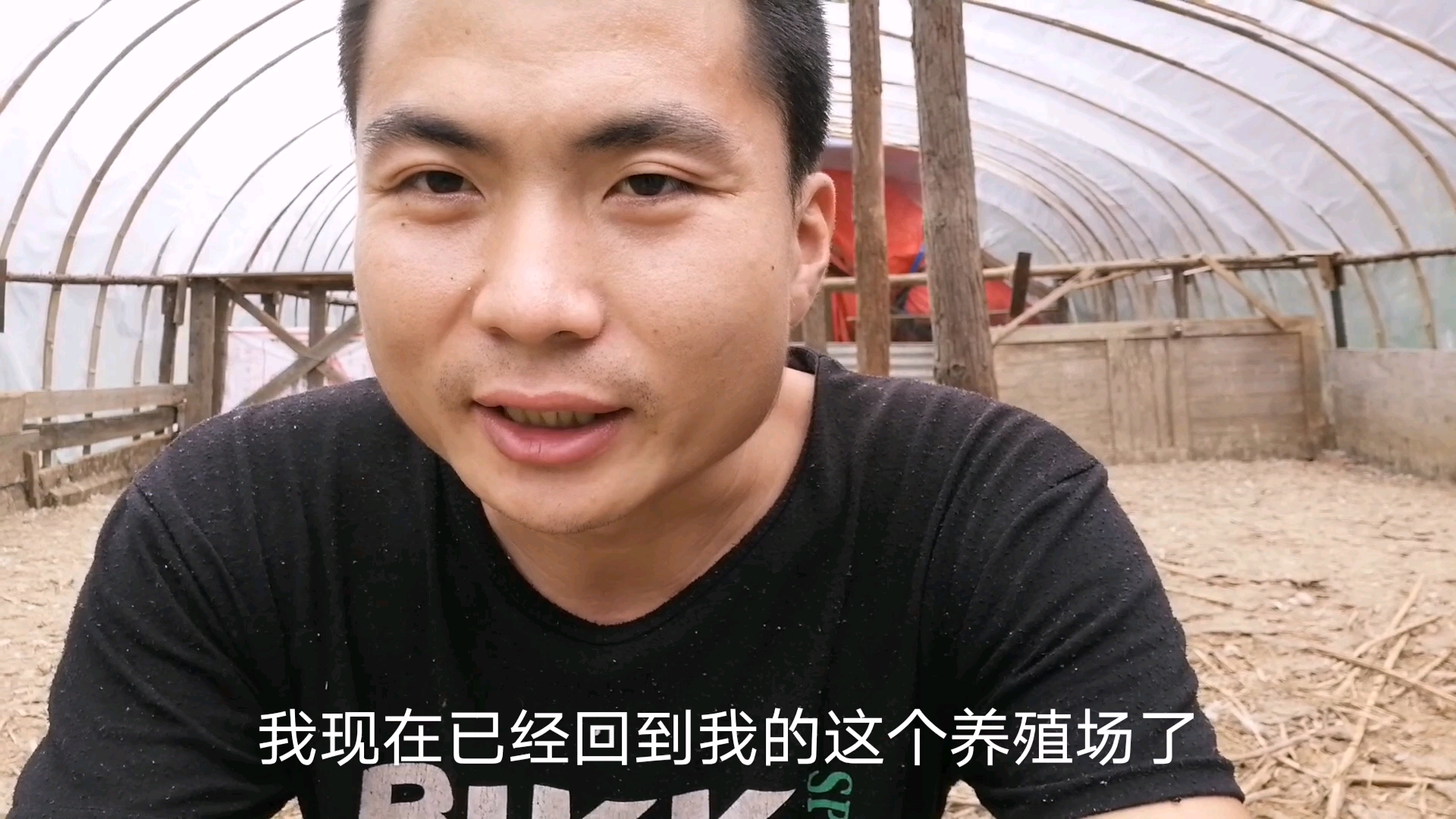 养的蛋鸭在9成蛋淘汰了,30.5一只价格可以,以后要加规模了