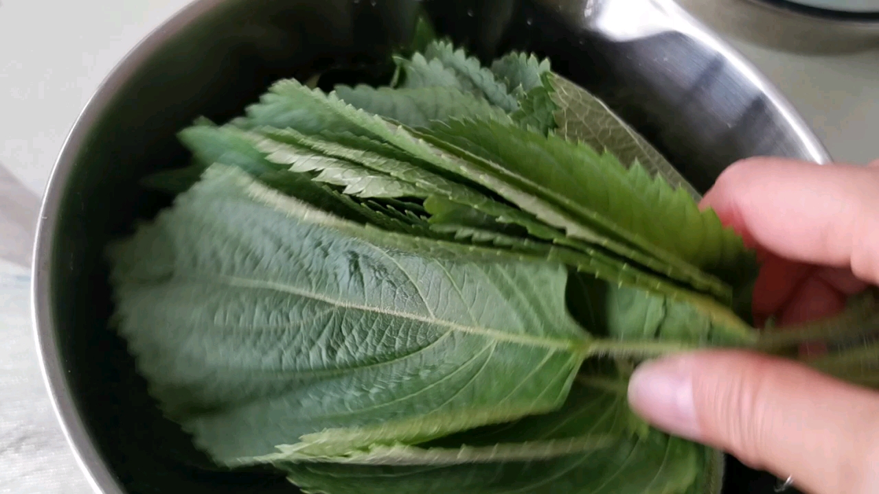 东北人爱吃的苏子叶超级简单的做法很好吃