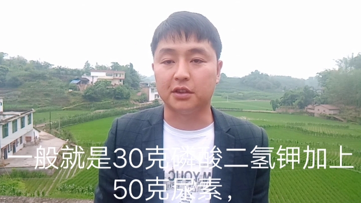 四川种植技术员,磷酸二氢钾这八种配方,使用在果树上最棒!