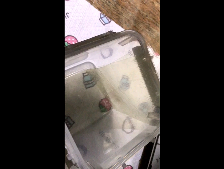 草莓慕斯蛋糕的做法