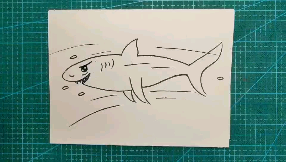 简笔画  游起来超级快的大鲨鱼