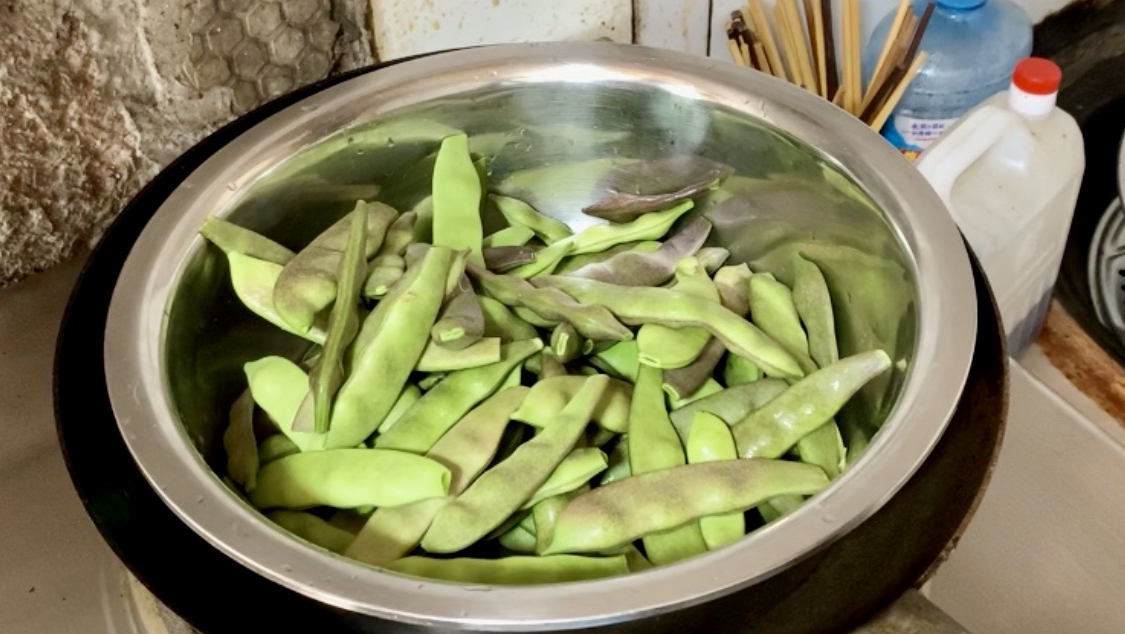 东北名菜“猪肉炖紫花油豆角”南方人没吃过!当地出名特色菜。