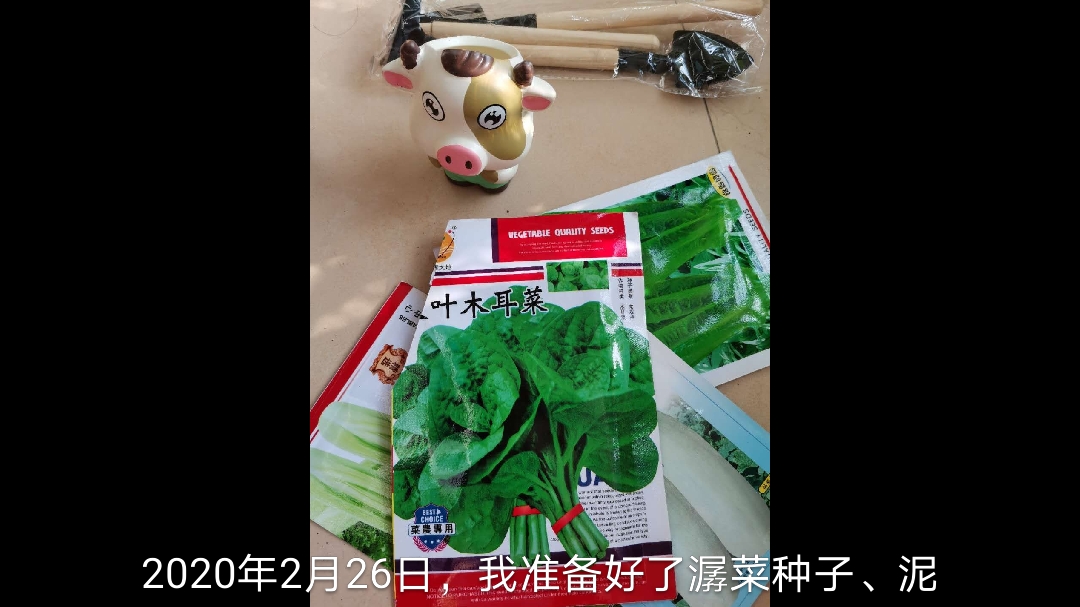 我是种植小能手~~~二(3)班  彭誉程