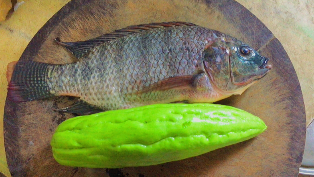 苦瓜和罗非鱼这样做太香了,鱼肉嫩滑无泥腥味,而且不沾苦味