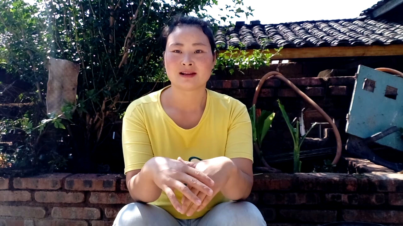 鸡吃蛋,不花一分钱就能解决