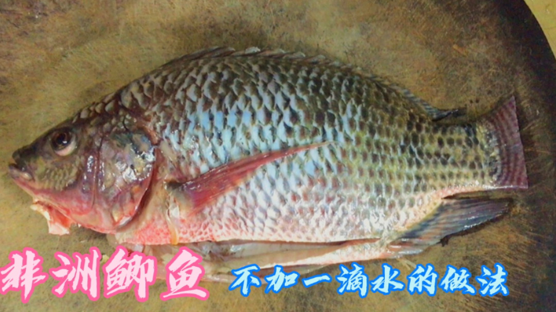 罗非鱼,我喜欢潮汕特色做法,不加一滴水,咸香鲜嫩无泥腥味