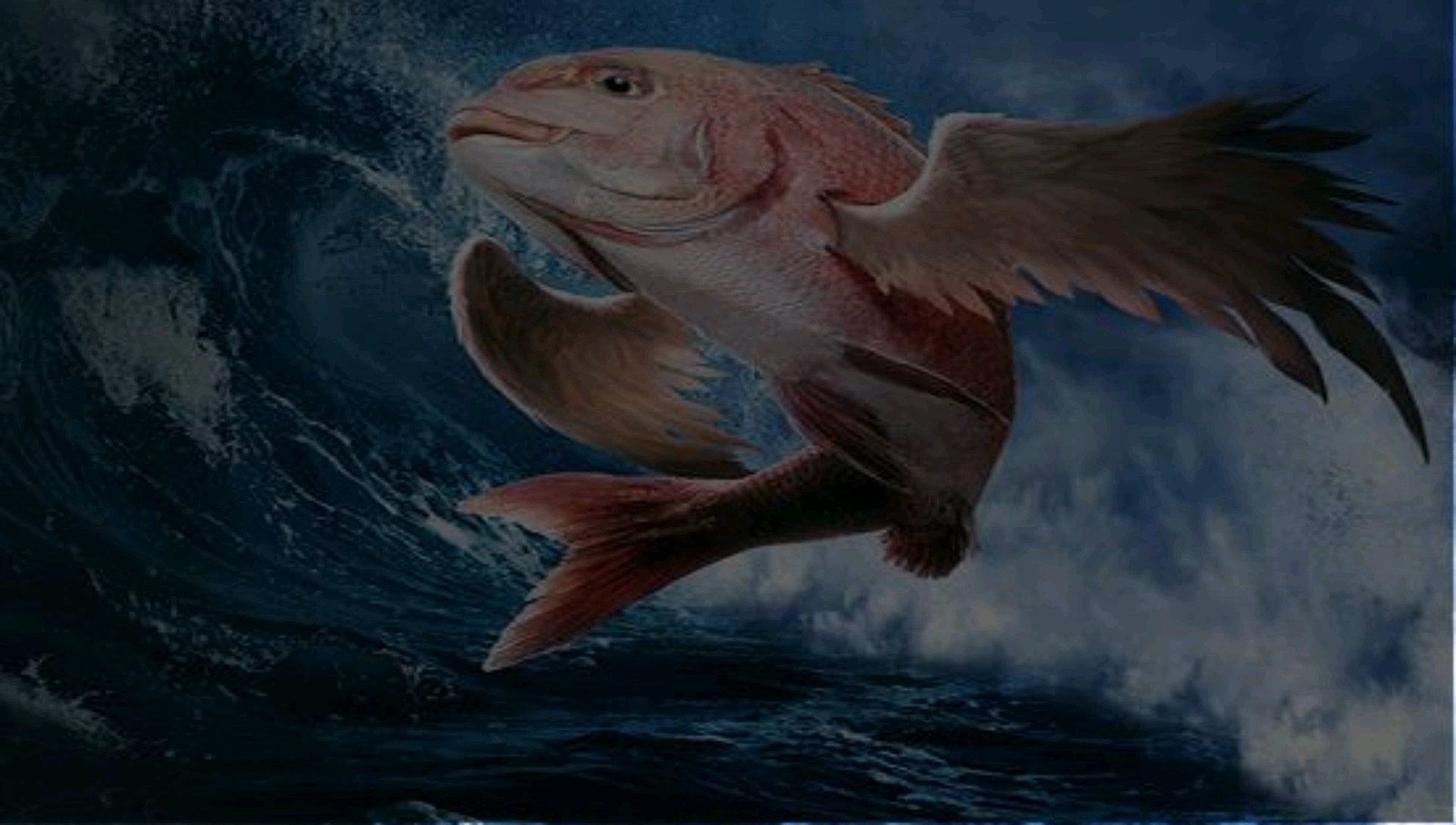 读呀读《山海经》蠃鱼