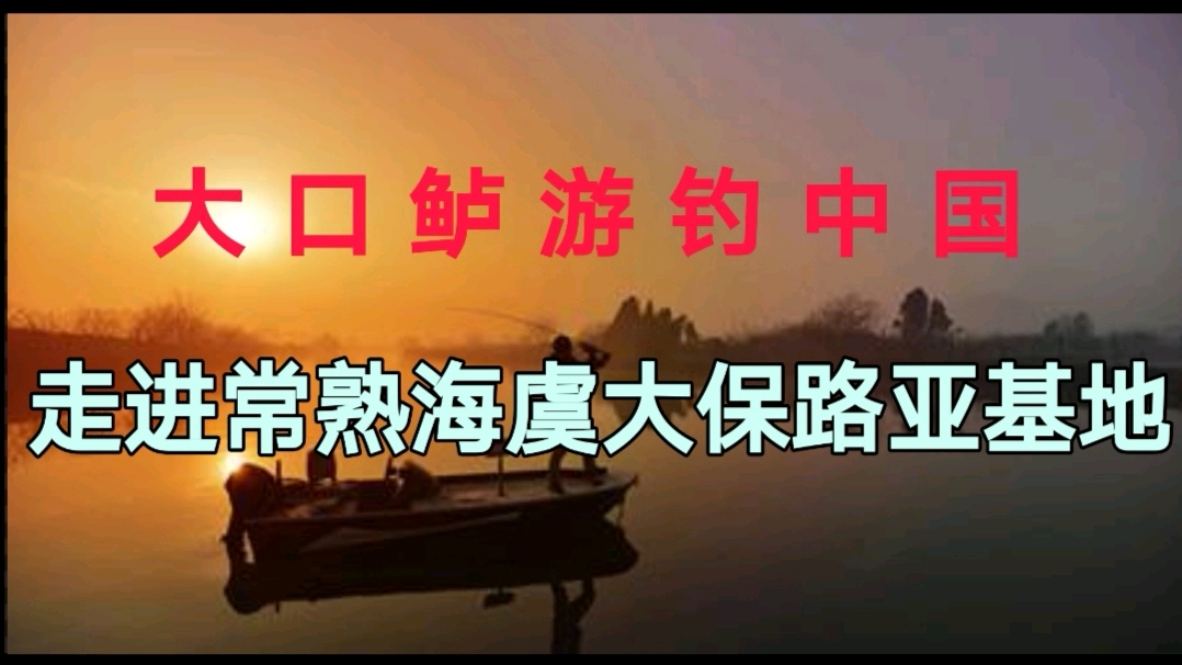 大口鲈教你路亚黑坑技巧(二),这鱼钓的爽