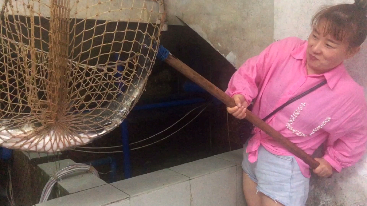 品尝广州从化流溪河的水库鱼,山坑螺煮鱼你们有吃过吗