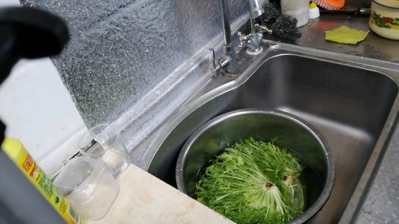 丁香鱼拌苦菊,夏季开胃小菜,营养丰富