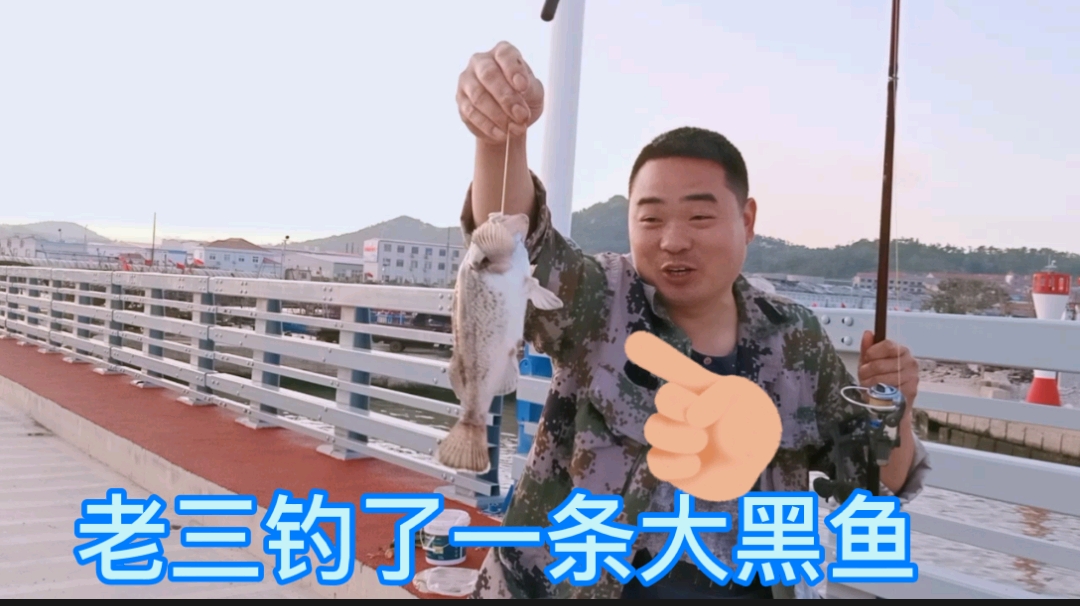 山东烟台长岛的大桥上:老三钓黑鱼爆钩不停,海岛鱼资源超丰富