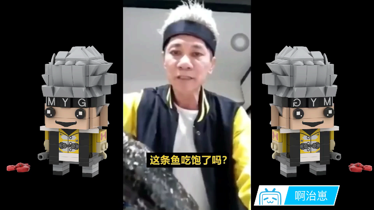 王雷卖鱼哥乐高方头仔横空出世啦