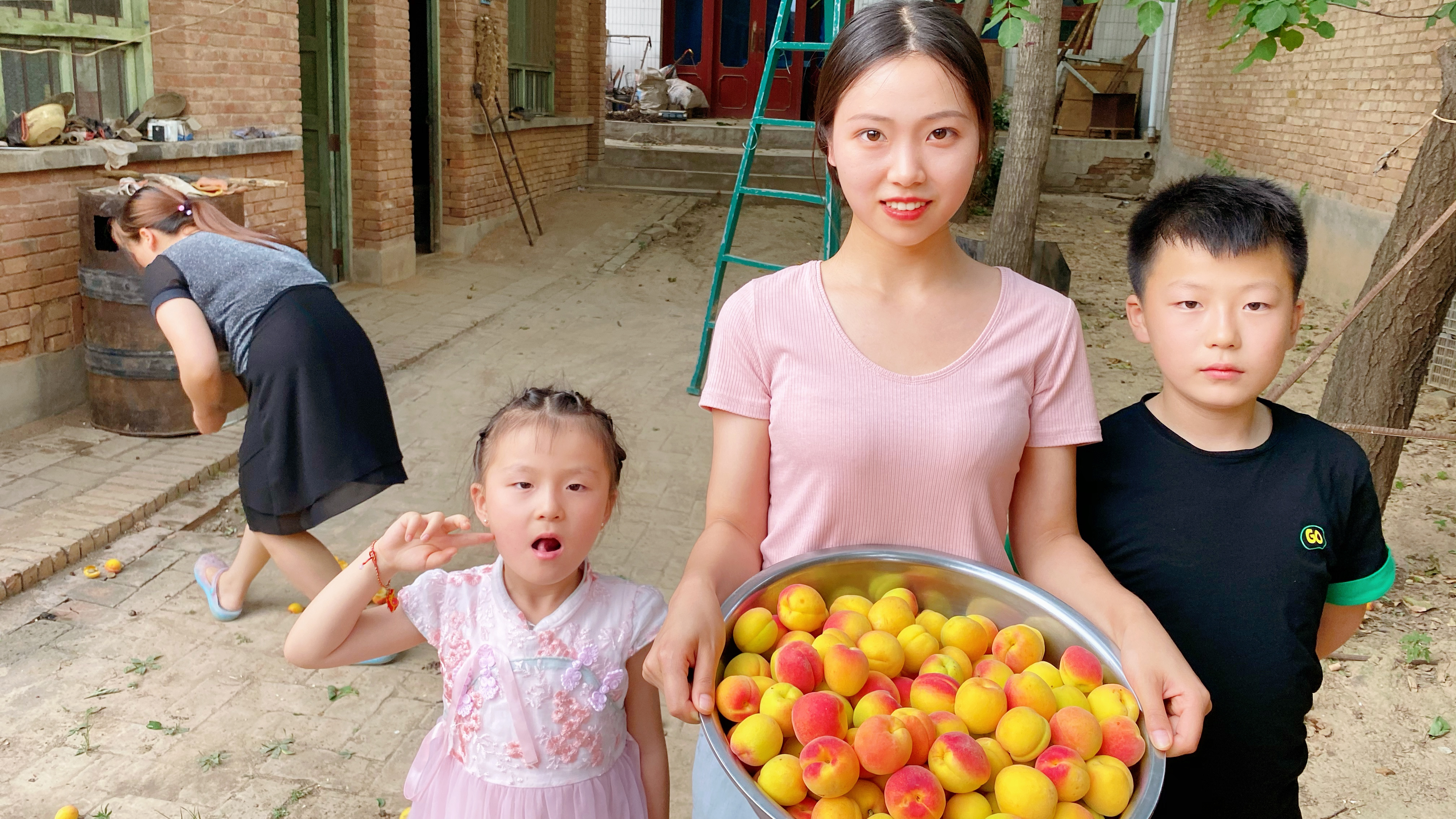 姐姐一家来做客,带她们去老院子摘杏好热闹,馋的小孩直流口水