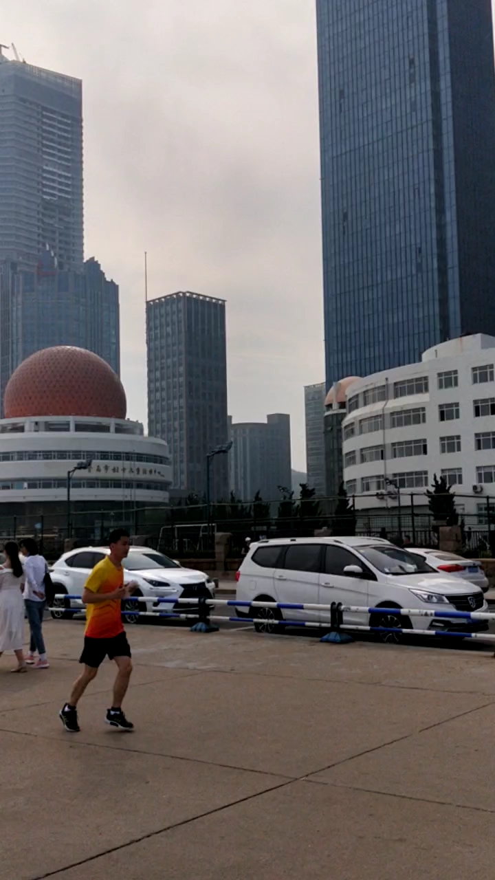 海里的石花菜到底长得什么样?一起来看看吧。