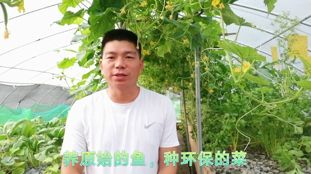 鱼菜共生基质床怎么做,小梁分享自己的做法,你觉得这样合理吗