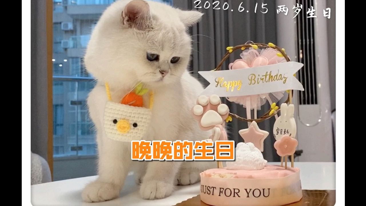 晚晚宝贝生日快乐