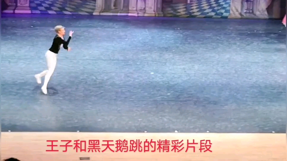 给大家分享一段王子和黑天鹅跳的精彩片段