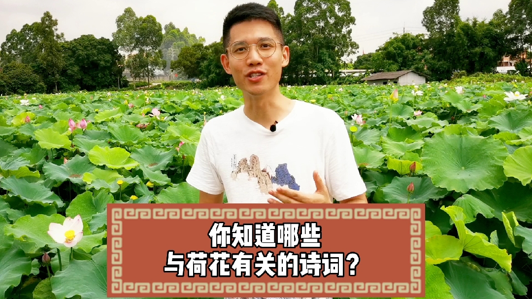 你知道哪些与荷花有关的诗词?