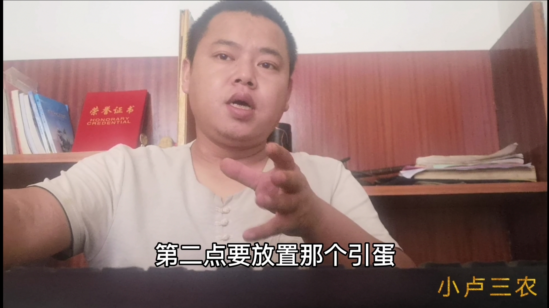 农村养鸡,如何让鸡在固定的地方下蛋?学会这4个技巧就可以
