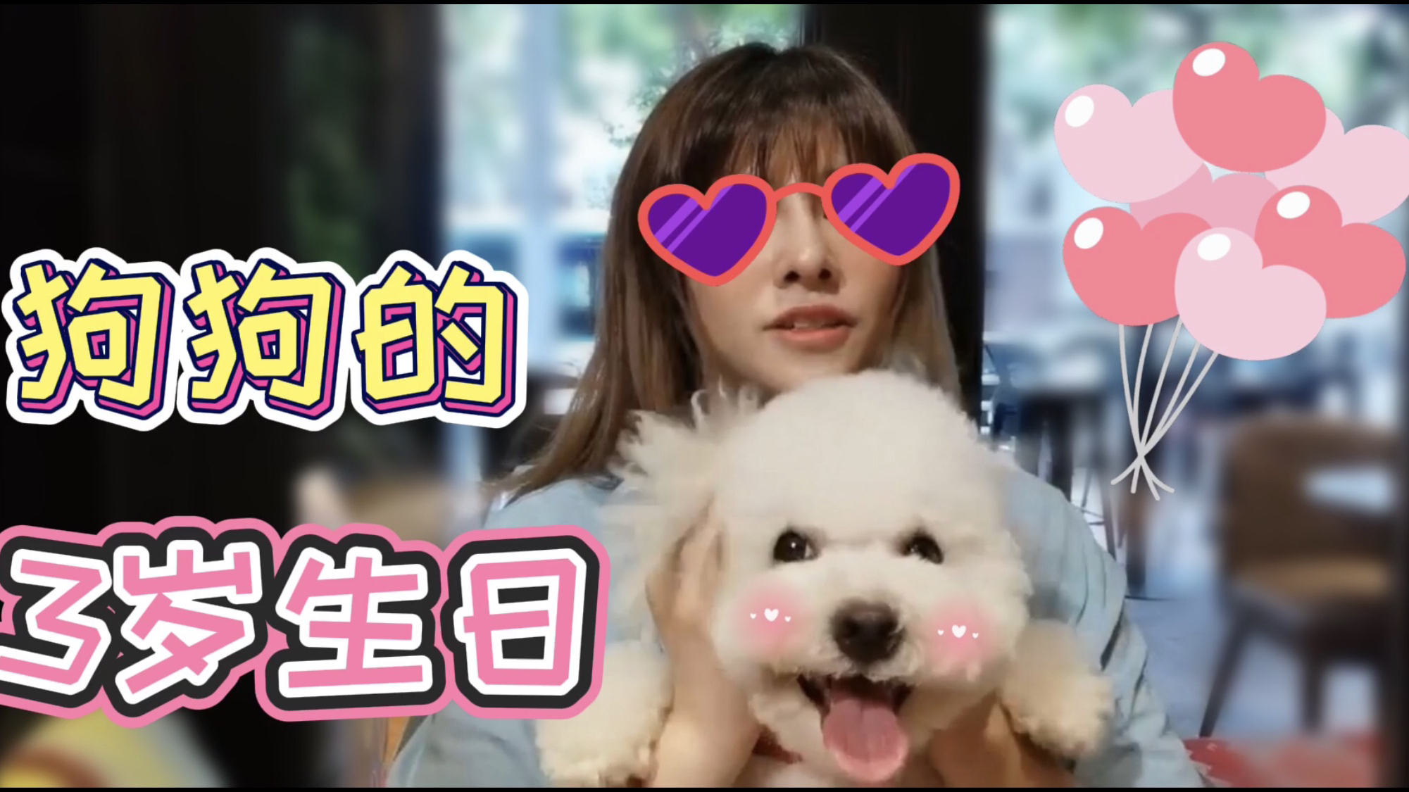 花200元买了宠物蛋糕给我的狗狗白总过生日!看它开心我也很幸福
