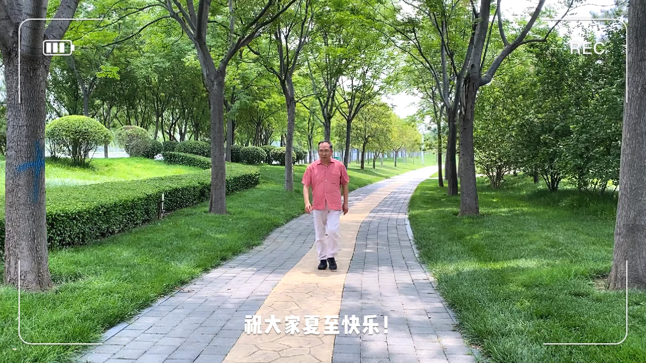 猪肉价格持续下跌背后是怎样的经济现象?