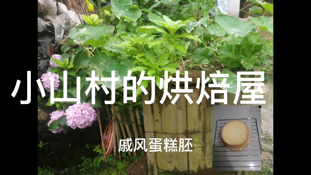 超简单的戚风蛋糕胚子,新手看一次就会