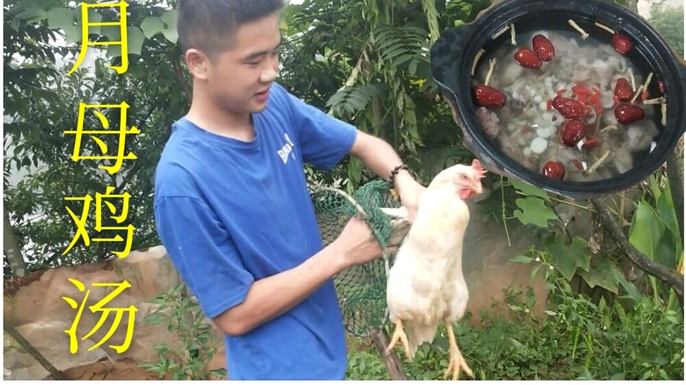 一锅简单的月母鸡汤但是包含着一位母亲的爱(视频最后有彩蛋)