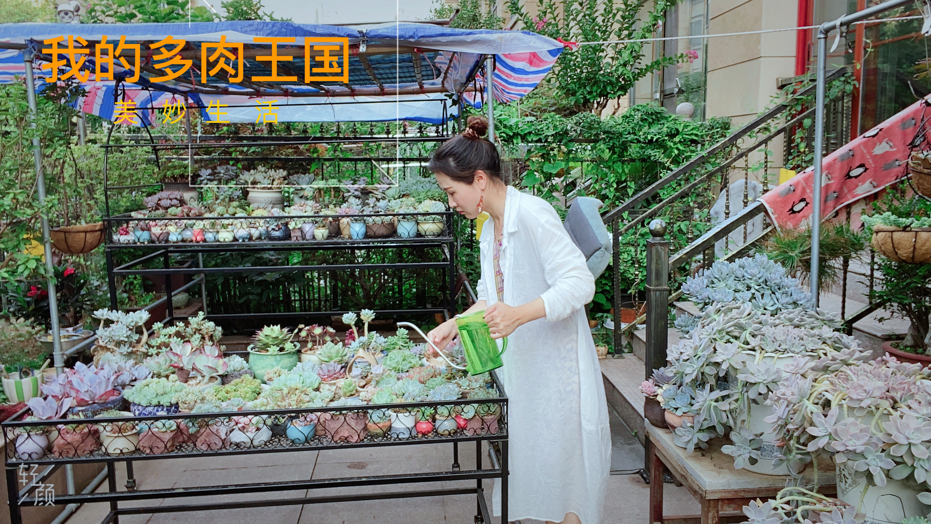 [图]多肉的品种太多了!有的长得很像,有的名字很像!你们分得清吗?