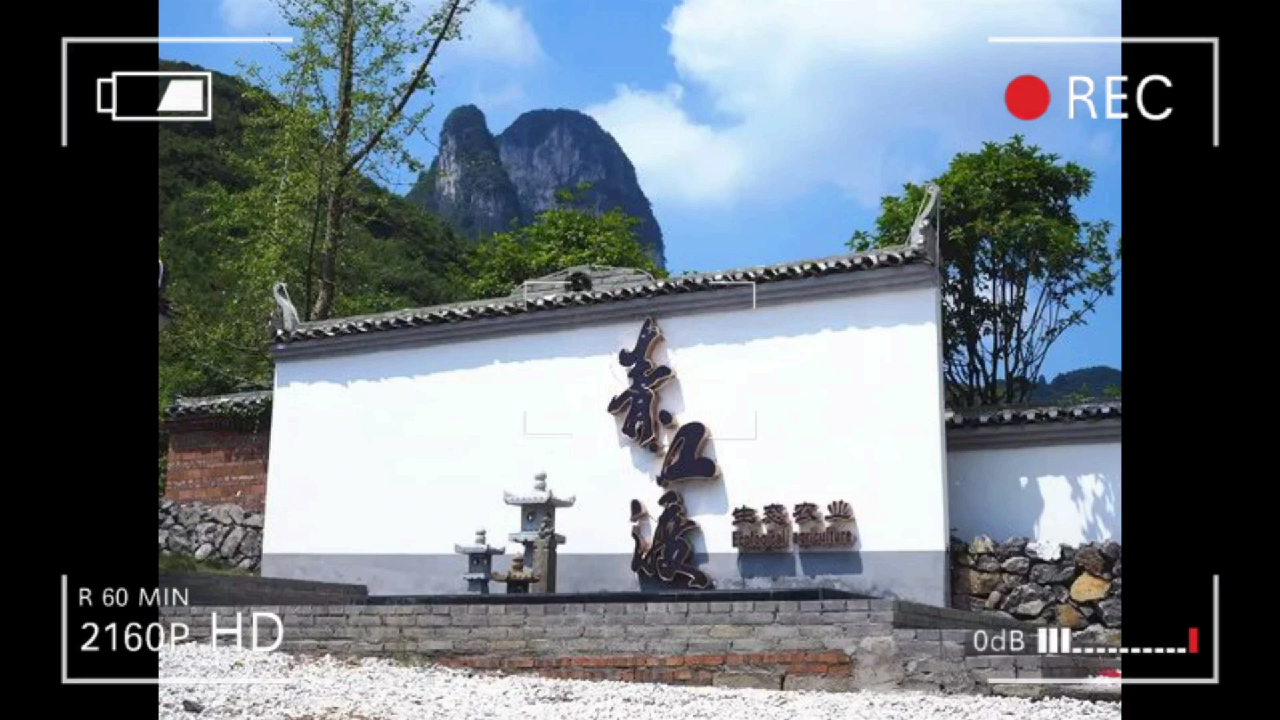 桂林独一传统做法阳朔刘姐啤酒鱼,中国名菜五十强。