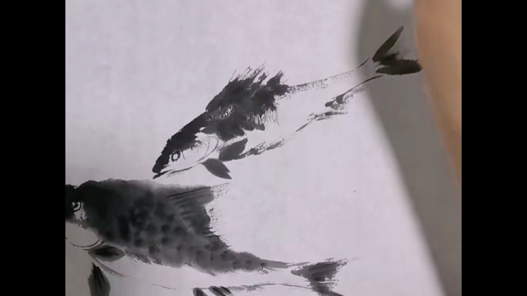 国画大师笔下的小草鱼,笔法干练,潇洒飘逸,妙哉