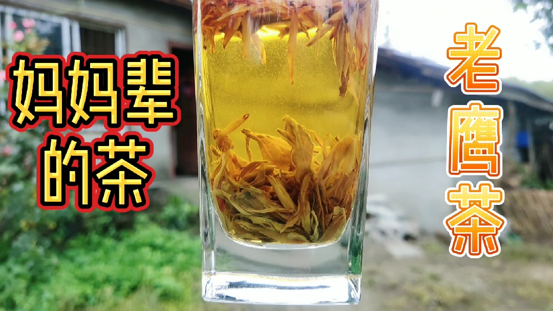 妈妈辈的茶叶,老鹰茶,只需一点点,可以泡3天,凉了更好喝