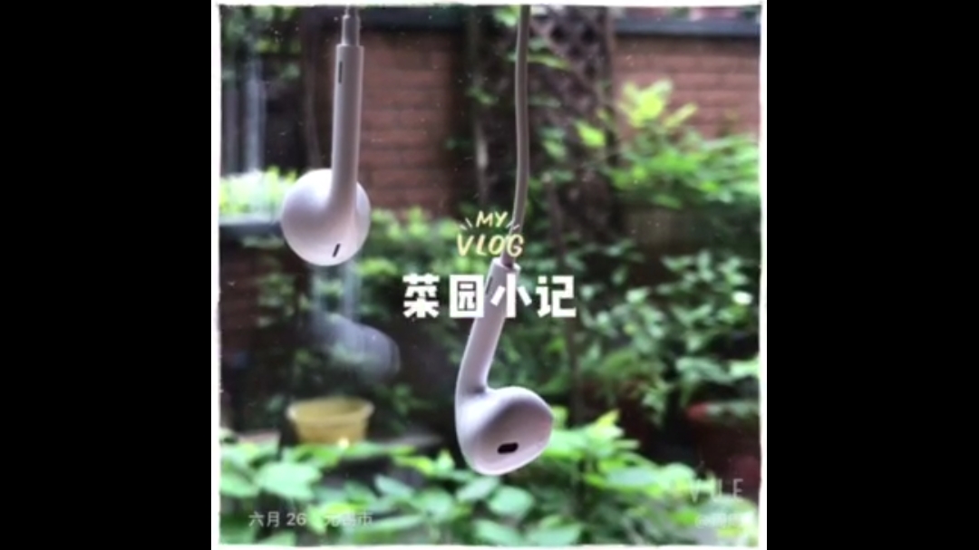 我的城中小菜园,豆角西红柿茄子丝瓜辣椒紫叶菜小葱,坐等收获!