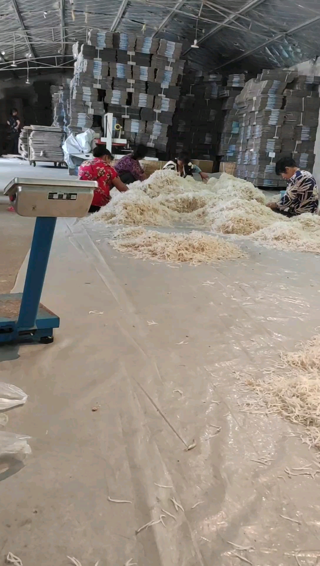 人间美味   海银鱼上市